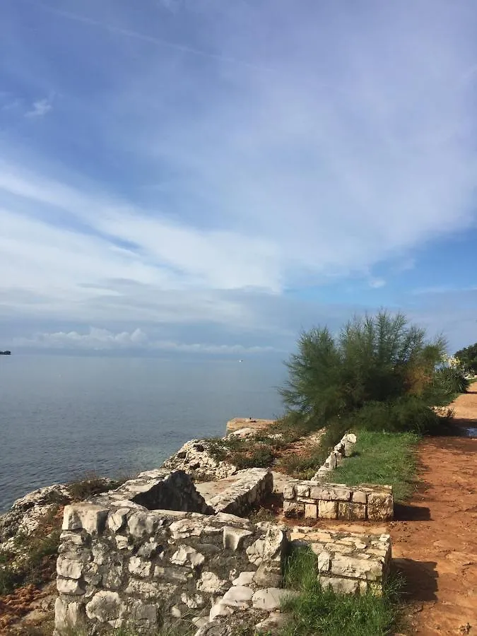 Villa Eva Karigador Novigrad  Croatia