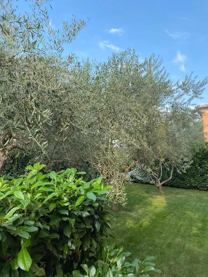 Villa Eva Karigador Novigrad   Novigrad (Istria)