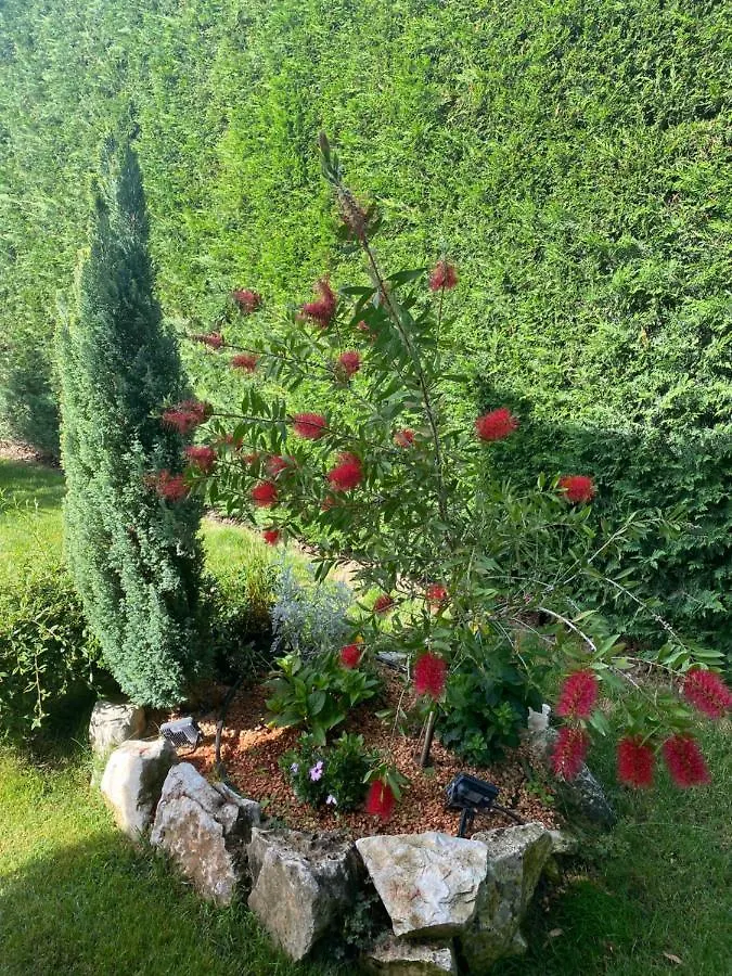 Villa Eva Karigador Novigrad  Croatia
