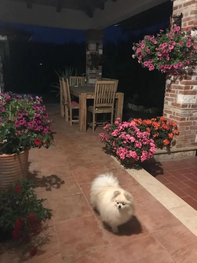 Villa Eva Karigador Novigrad Istria