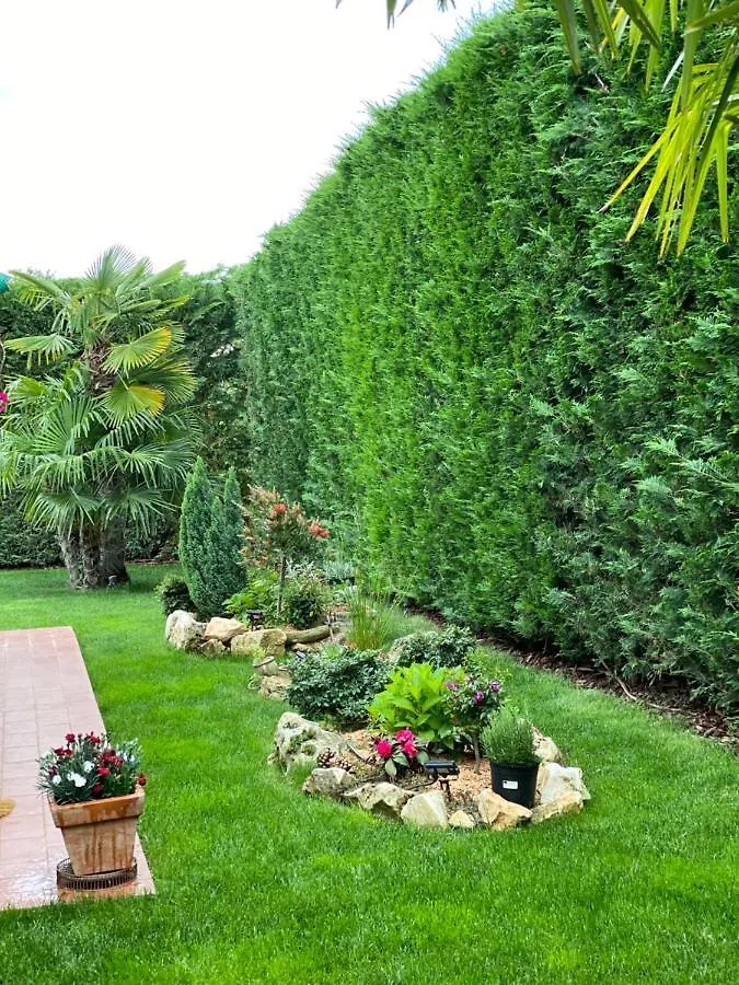 Villa Eva Karigador Novigrad Istria Hırvatistan